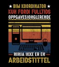 BIM koordinator, kun fordi fulltids oppgavesjonglerende ninja er en arbeidstittel thumbnail