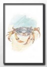 Strandkrabbe, Maleriprint kyst , sommerplakat  thumbnail