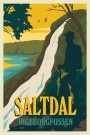 Saltdal , ingeborgfossen, Hyttekopp thumbnail