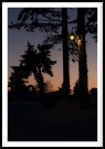 Belysning i Skogen , Ble-Høgda thumbnail