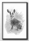 Hare , maleriprint   thumbnail