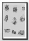 Bær- og sopptur collage , grå , maleriprint thumbnail