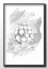 Snølykt, maleriprint thumbnail