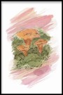 Kantareller , maleriprint thumbnail