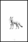 TILBUD! Tegnede dyr, samling av 3 stk postere a 21x30 thumbnail