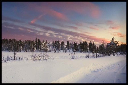 Snødekket veg på Ble-Høgda #2