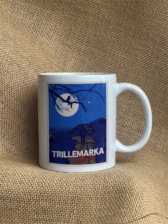 Trillemarka , natt, måne , turgåer , ugle, Hyttekopp