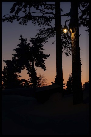 Belysning i Skogen , Ble-Høgda